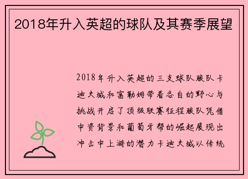 2018年升入英超的球队及其赛季展望