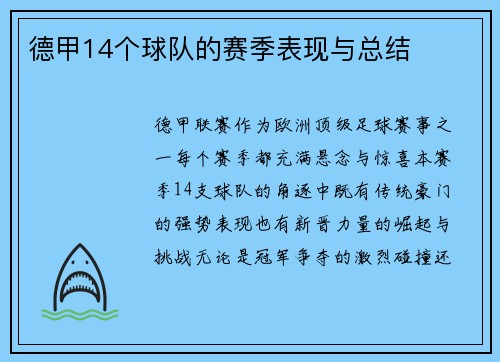 德甲14个球队的赛季表现与总结